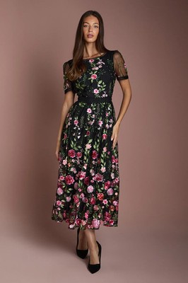 Coast Black Midi Dress Womens Occasion Dresses