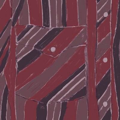 Jake Xerxes Fussell - Rebuilding [Used Very Good Vinyl LP]