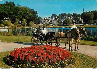 Postcard - Animals - Horses - Bagnoles de l'Orne - Deva pony hitch