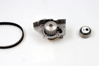 Hepu PK08363 Wasserpumpe + Zahnriemensatz FüR CitroËN Fiat Lancia Peugeot
