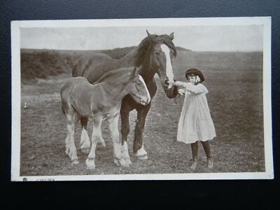 Pferd CHUMS Mädchen mit Stute & Fohlen VIERFÜSSIGE FREUNDE um 1906 von Raphael Tuck 5589