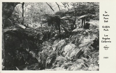  Los Angeles CA Fern Dell GRIFFITH PARK Frashers Vintage RPPC 