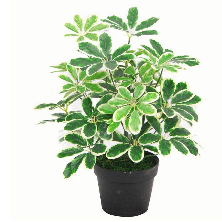 Leaf Schefflera Arboricola Artificial Plant 55cm - Image 3