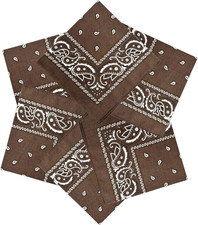 6 Pack 100 Cotton Bandanas 22  x 22" for Men  Women Paisley Handkerchief Headb