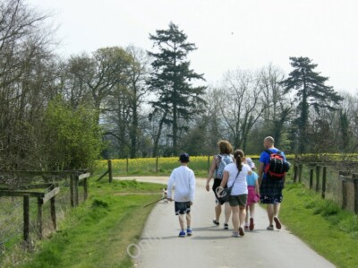 Foto 6x4 2010: Ein Spaziergang durch Bowood Park Calne fand es unmöglich um 2010