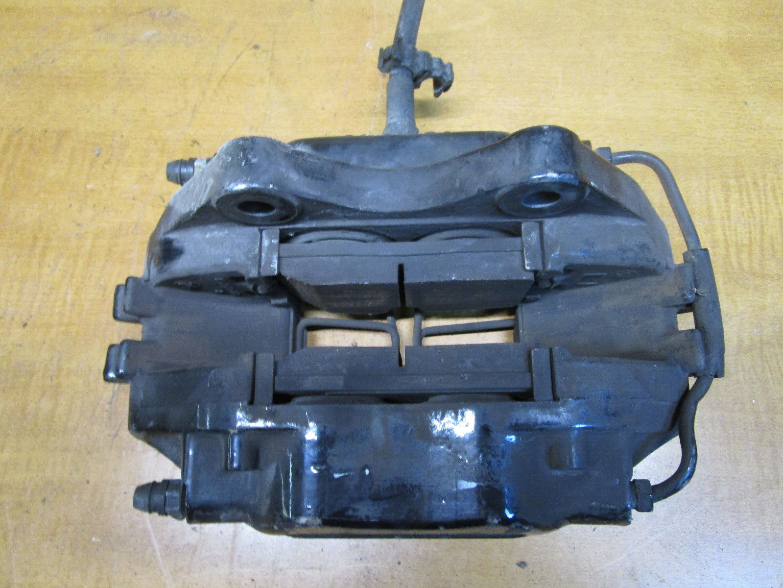 Picture 7 of 7