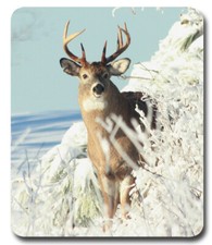 White Tail Deer Buck - Hunting  Mousepad / PC Mouse Pad  Gift Big Game Hunter