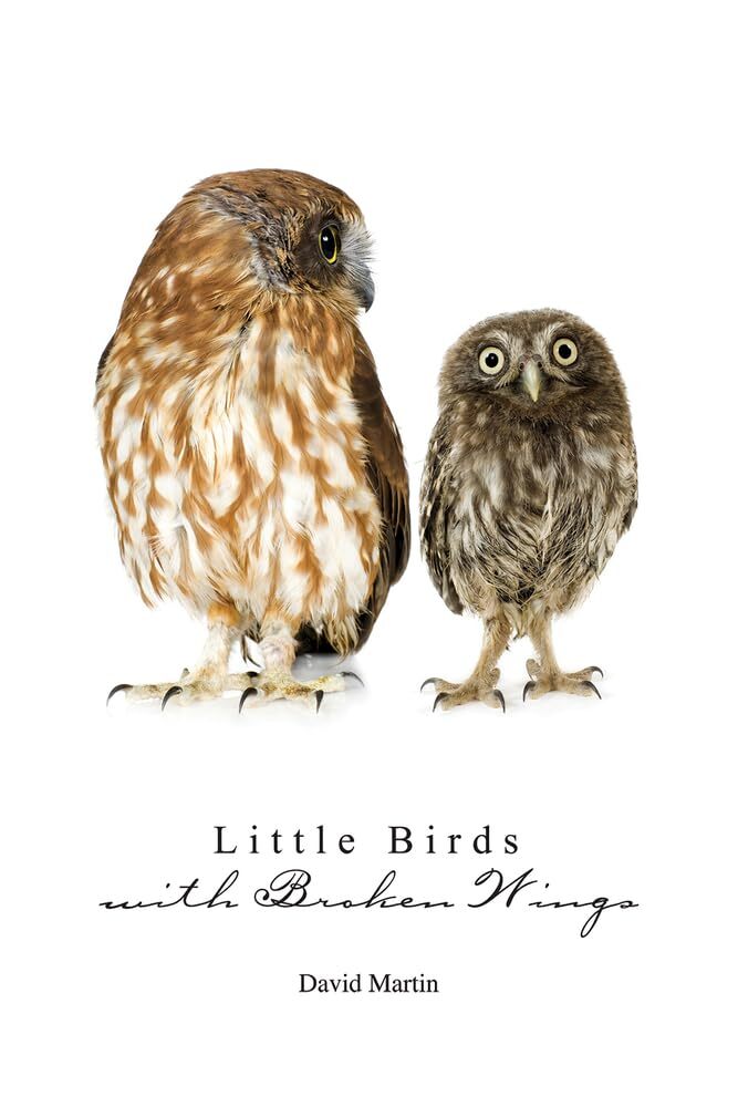 Little Birds with Broken Wings by David Martin (Paperback) (New)