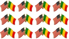 Pack of 12 International Flag & US Crossed Double Flag Lapel Pins