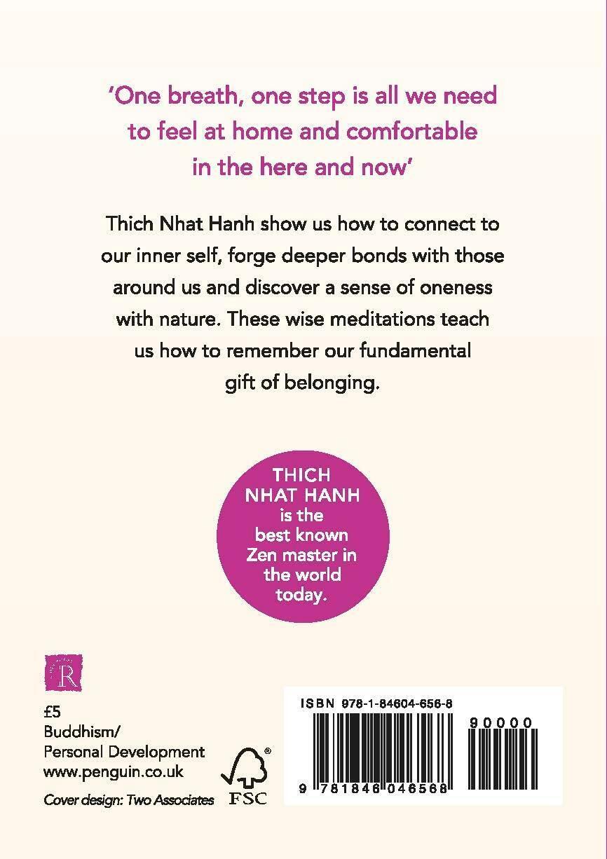 Thumbnail - How To Connect | Thich Nhat Hanh | Taschenbuch | 126 S. | Englisch |