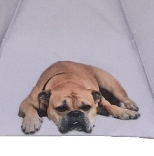 Paraguas Bulldog Inglés Perro Brolly Auto Abierto Con Bolsa, Plegado Para Quejar en Bolsa 604565286680 | eBay