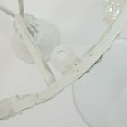 Foto 6 di 9