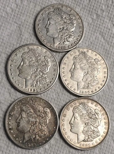 5 Morgan Silver Dollars - Lot SKu01