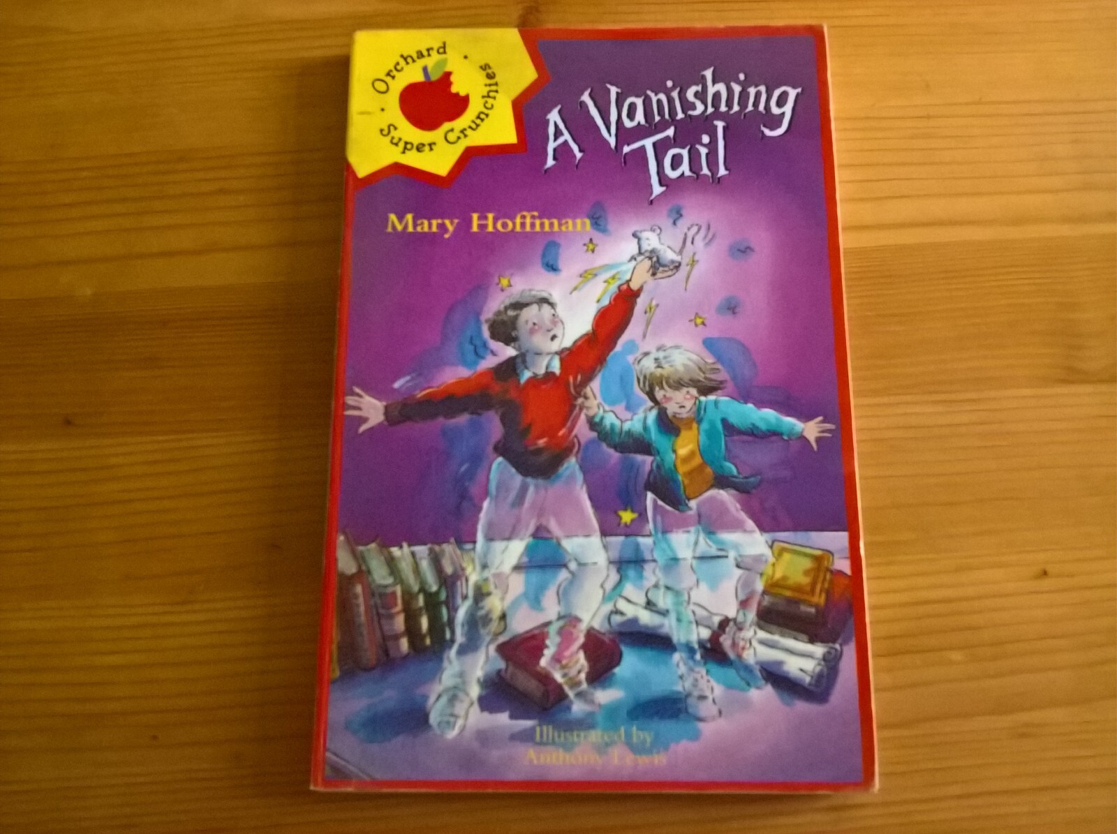 A Vanishing Tail by Mary Hoffman, children's fiction paperback
