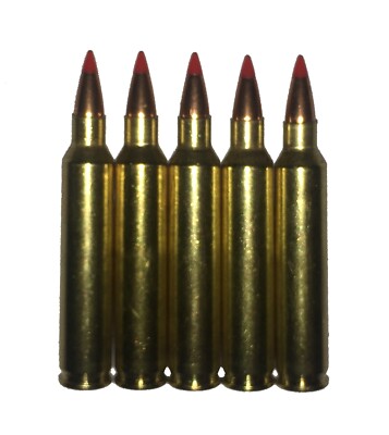 204 Ruger Snap Caps Training Aids + Rattling & Black Options too! .204