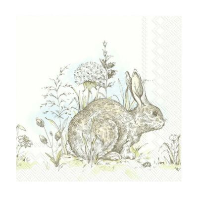Papierservietten Ostern Morgen Hase Kaninchen Mittagessen Cocktail Einwegservietten
