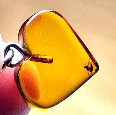 Real Baltic Amber Pendant - HEART - Cognac, Silver 925 with Chain, Insect inside