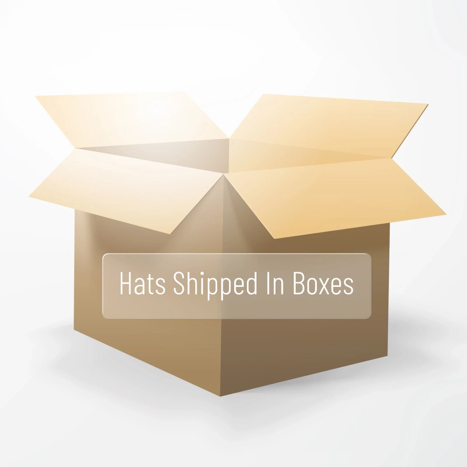 Toy Machine Skate Hat Ball Cap Mens Strapback Adjustable Bleached Black Low Pro