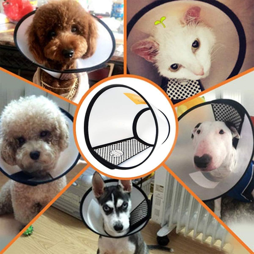 Cat Cone Collar, Pet Cone for Small Dogs & Cats - Anti-Bite Wound Protector, Med - Picture 7 of 12