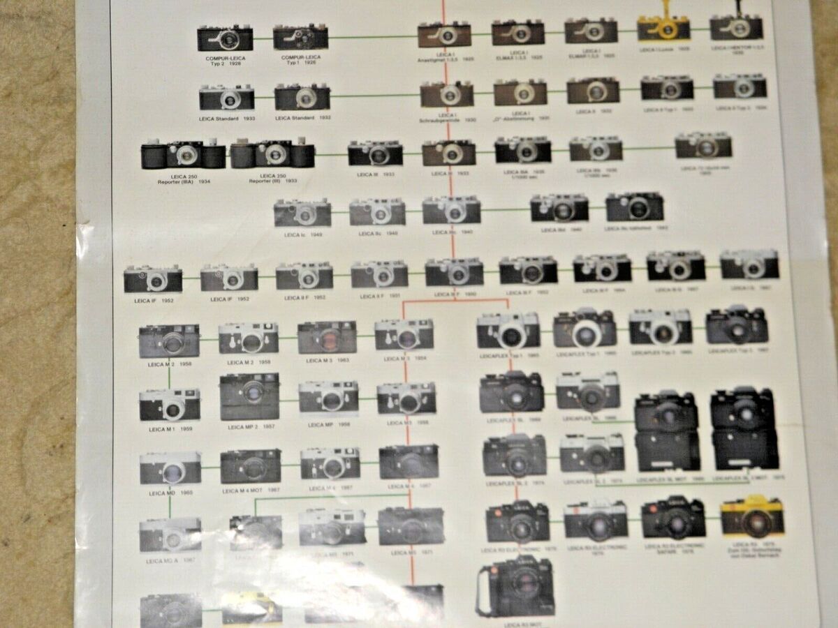 VINTAGE LOVELY POSTER LEICA CAMERA CAMERAS FAMILY TREE LEITZ VINTAGE LOVELY POSTER LEICA CAMERA CAMERAS FAMILY TREE LEITZ