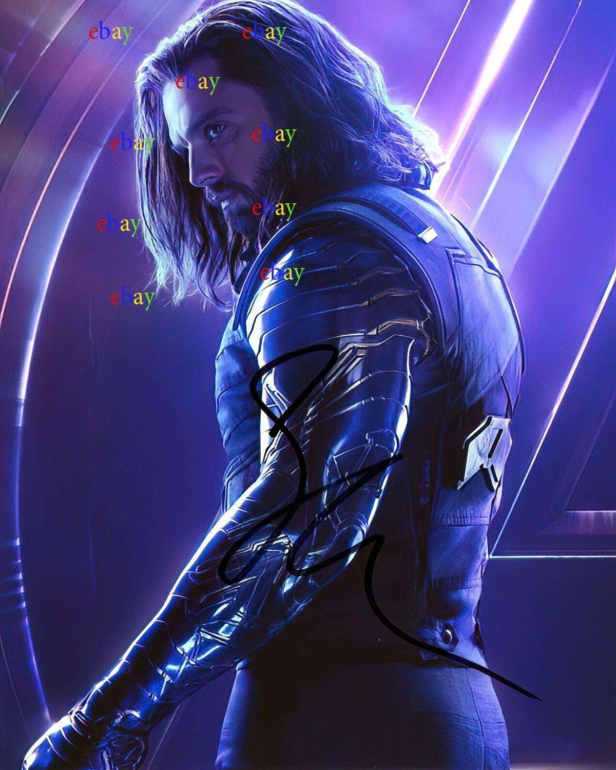 Sebastian Stan Winter Soldier Avengers Autographed Signed 8x10 Photo ...