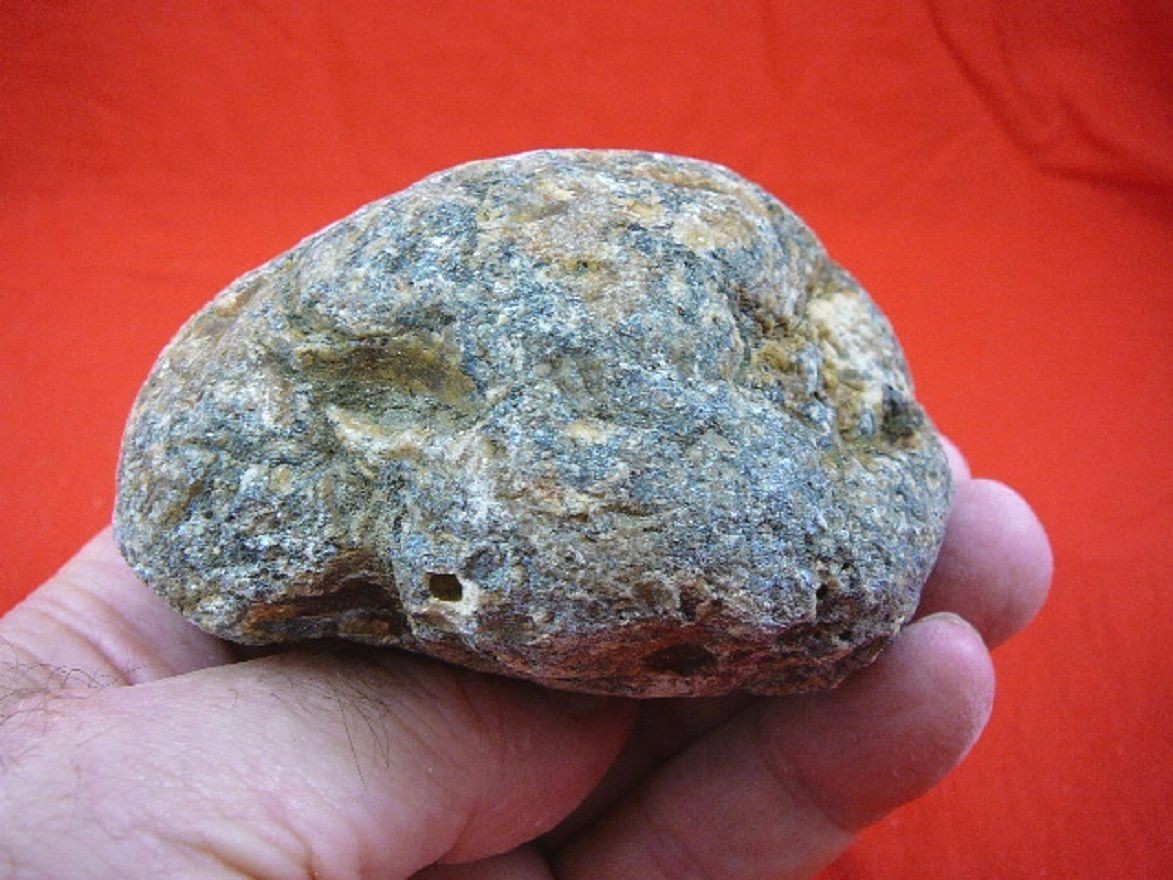 k-2031) 180 g Rare Kauri tree Gum copal young Amber New Zealand