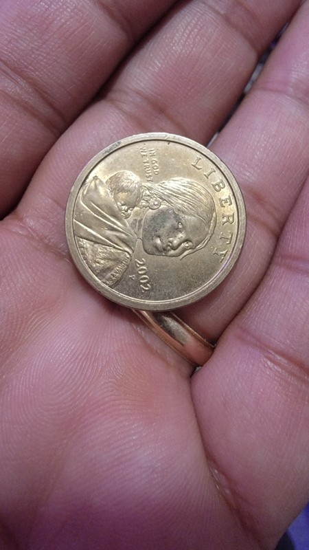 (1) 2002-P Sacagawea Dollar Ave circulated
