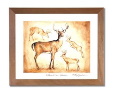 Whitetail Buck Deer Big Antler Rack Animal Wildlife Wall Picture Honey Framed Ar