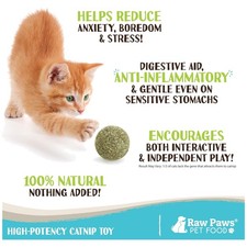 Natural Catnip Balls for Cats - 6-Pack Interactive Toy