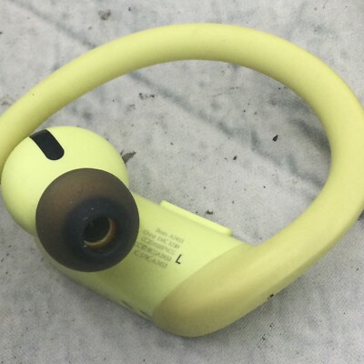 Beats by Dr. Dre Powerbeats Pro A2078 Ear Hook Wireless Headphones