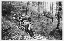 88* VOSGES  le schlitage du bois (CPSM 9x14cm)     RL57,0709