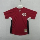 Cincinnati Reds Baseball Jersey Boys Large Red Ken Griffey Jr Mitchell & Ness