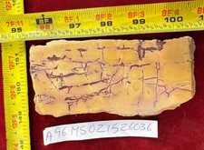mookaite jasper slab 210 Grams 5&rdquo; X  2&rdquo; X 3/8&rdquo;