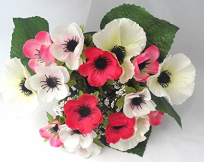 Anemone gemischte Farben Blumen Grab Topf Crem Kunststoff Rosenschale Blumengesteck 