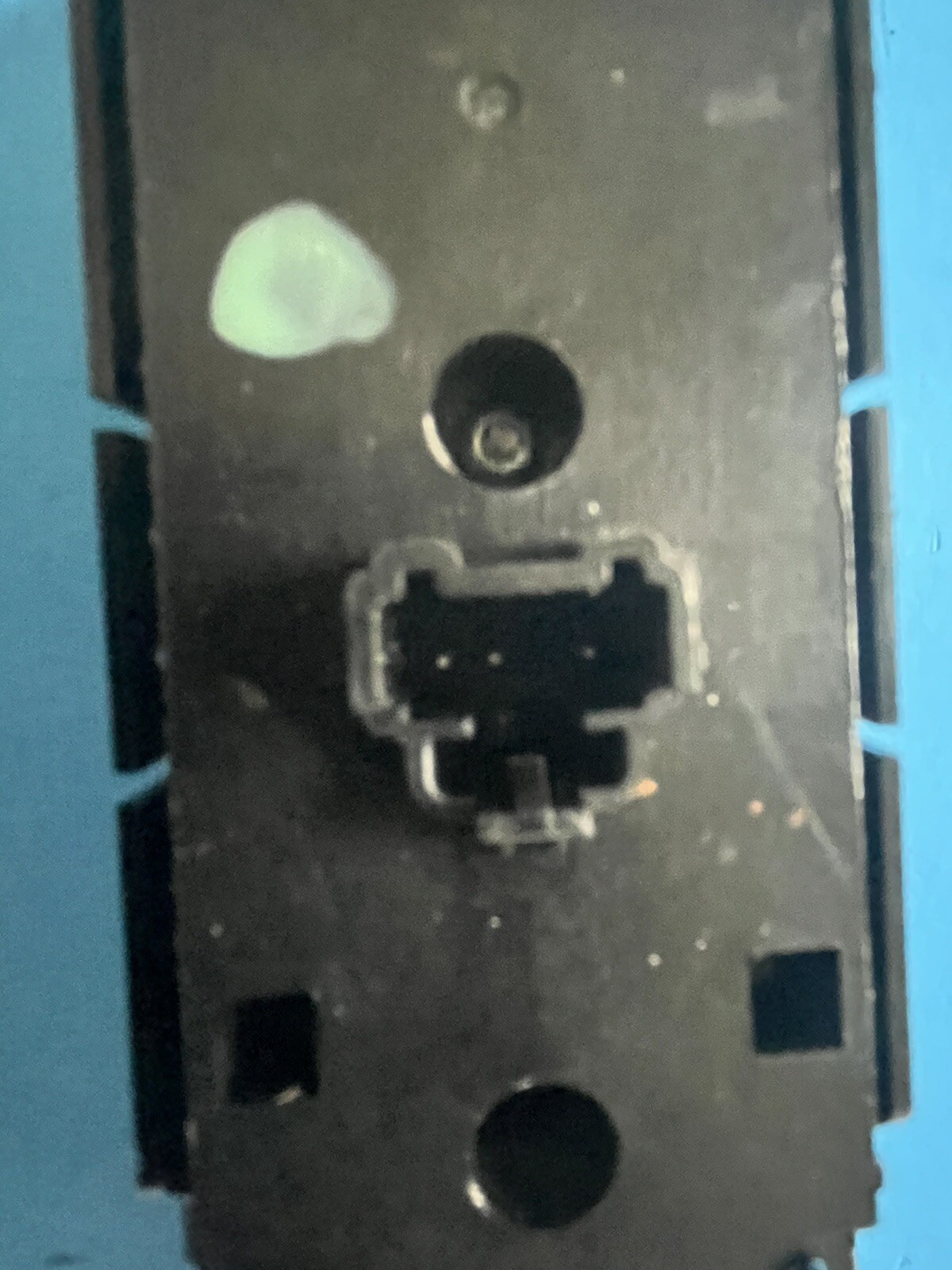 Picture 7 of 7