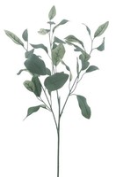 Artplants Kunststoff Eukalyptus Zweig Maleen, Eco Collection, GrüN, 75Cm