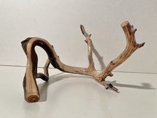 Manzanita Driftwood, Reptile Tank Decor, Aquascape, Terrarium, Aquarium Wood