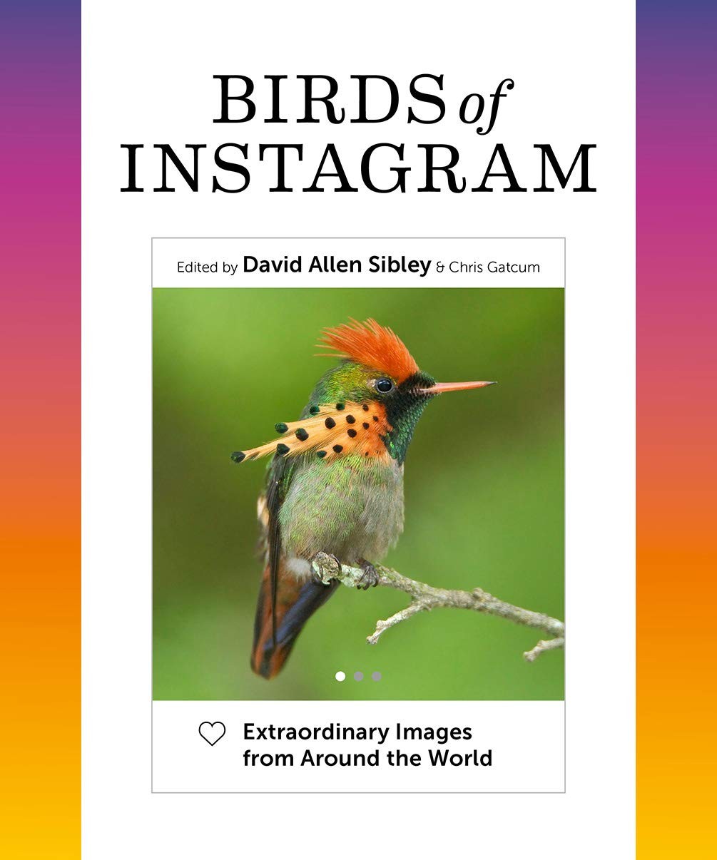 Birds of Instagram: Extraordinary Images from Around the World [hardcover] Sible
