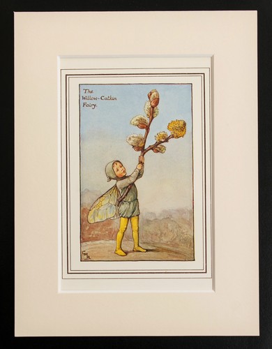 willow catkin flower fairy - mounted original 1930 cicely mary