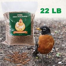 Bulk 22 lbs Dried Mealworms Non GMO Organic Fish Bluebirds Chickens Gliders Hen