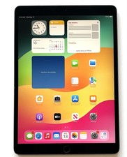 Apple iPad Air 3rd Gen. 256GB 10.5" Space Gray WiFi Cellular Unlocked A2153 READ