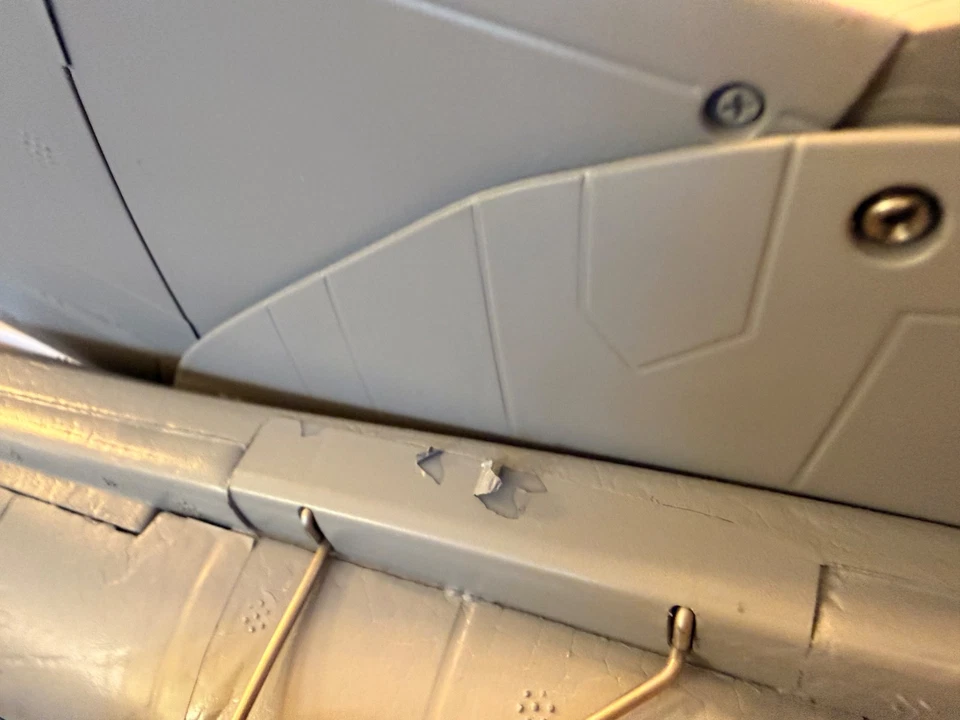 E-flite Impeller F-14 Tomcat Twin 40mm EDF BNF Basic  mit AS3X + SAFE #EFL01450 - Bild 3 von 4