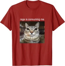 Rage Is Consuming Me - Funny Silly Staring Cat Meme Unisex T-Shirt