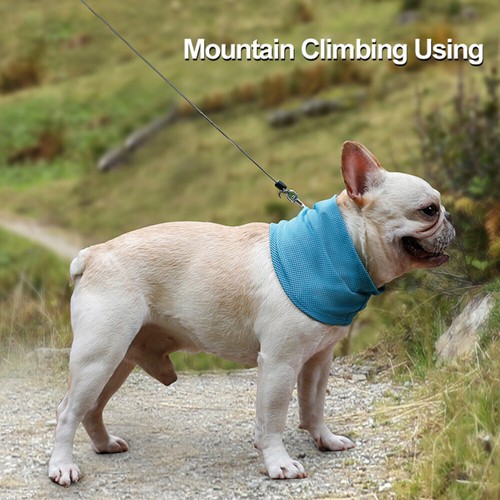 Cooling Neck Wrap Dog Cooling Bandana Dogs Cooling Dogs Cooling Collars Dogs - 第 7/12 張圖片