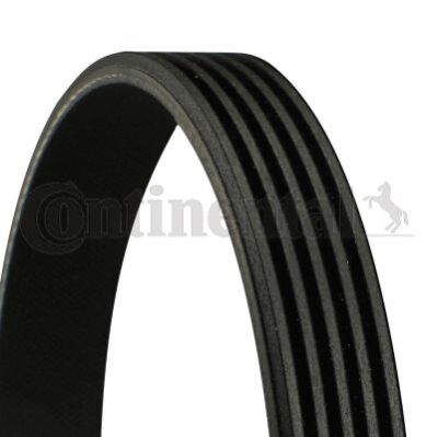 Conti Original 5PK860 Keilrippenriemen Rippenband Rippenriemen 5 x 860