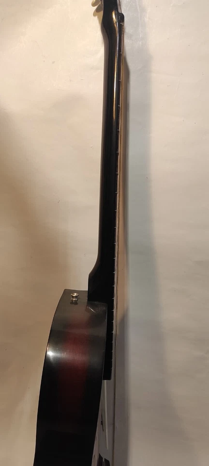 Chitarra Acustica Eko Mascot Made In Italy Vintage — 第 4/4 张图片