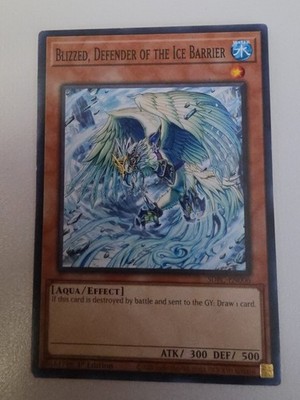  Blizzed, Defender of the Ice Barrier HAC1-EN029 Hidden Arsenal YuGiOh