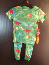 Wonder Nation Boys Dinosaur Pajama Set 2-Piece - Size 12 MONTHS