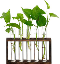 Plant Propagation Station,Plant Terrarium Wooden Stand with 5 Test Tubes,Glass P