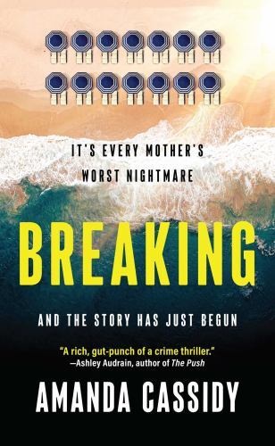 BREAKING by Amanda Cassidy Paperback - Foto 1 di 1